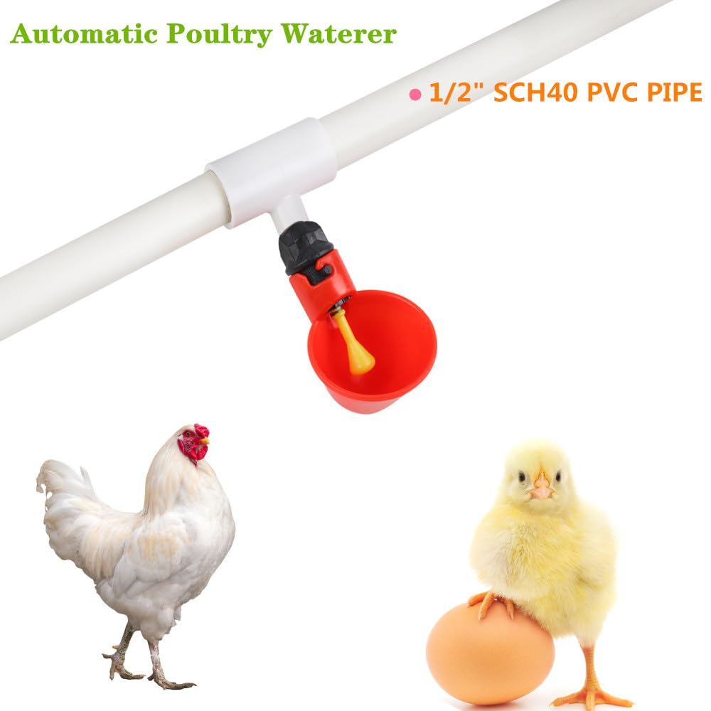 12 Pack Automatic Plastic Chicken Waterer Cups M2226