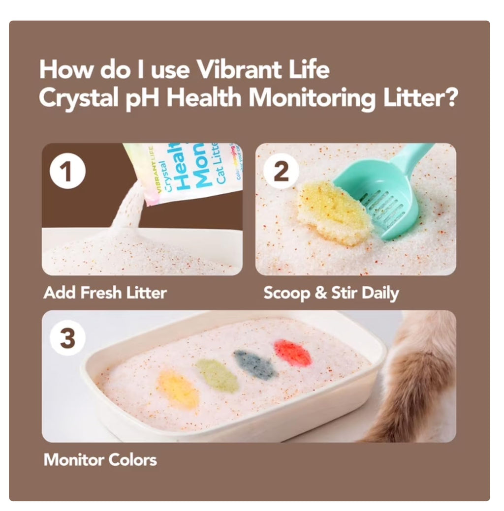 Unscented 8 Lb Cat Litter N917357