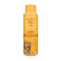 Oatmeal Dog Shampoo with Honey, Unscented, 16 Fl Oz Q219