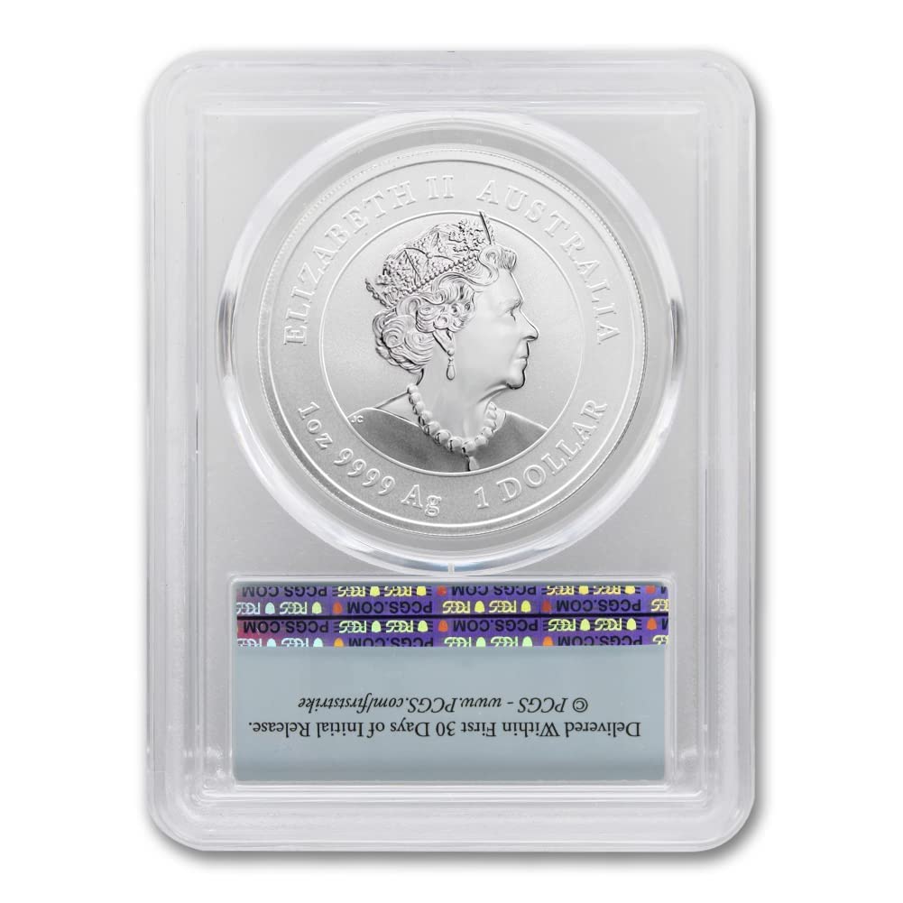 1 oz Silver Year of the Rabbit Coin O8778