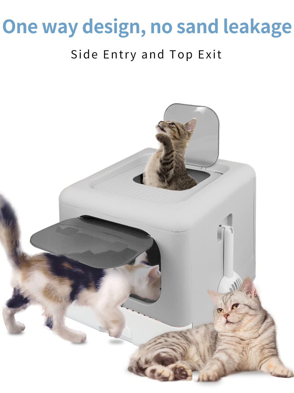 Foldable Cat Litter Box with Lid Y9935