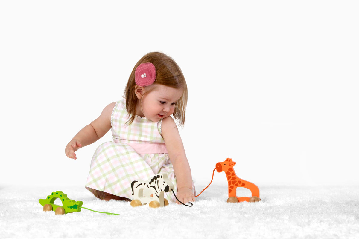 Wooden Push and Pull Toddler Toy K6560