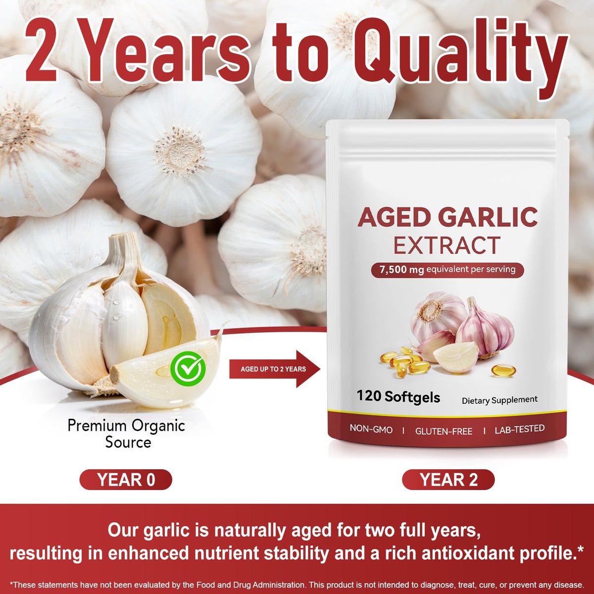 Aged Garlic Extract Capsules with Magnesium, Vitamin B1 & B9, 120 Count L4184