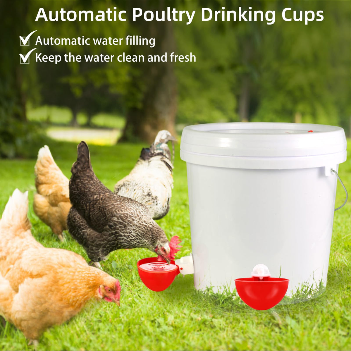 Chicken Waterer Cups K366