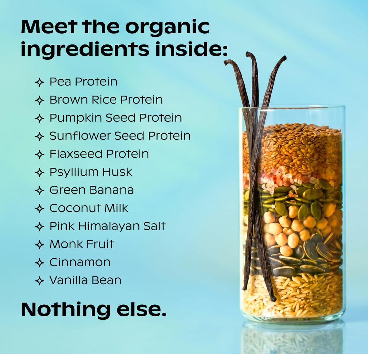 Vanilla Plant Protein 21g 14 Servings Y467512