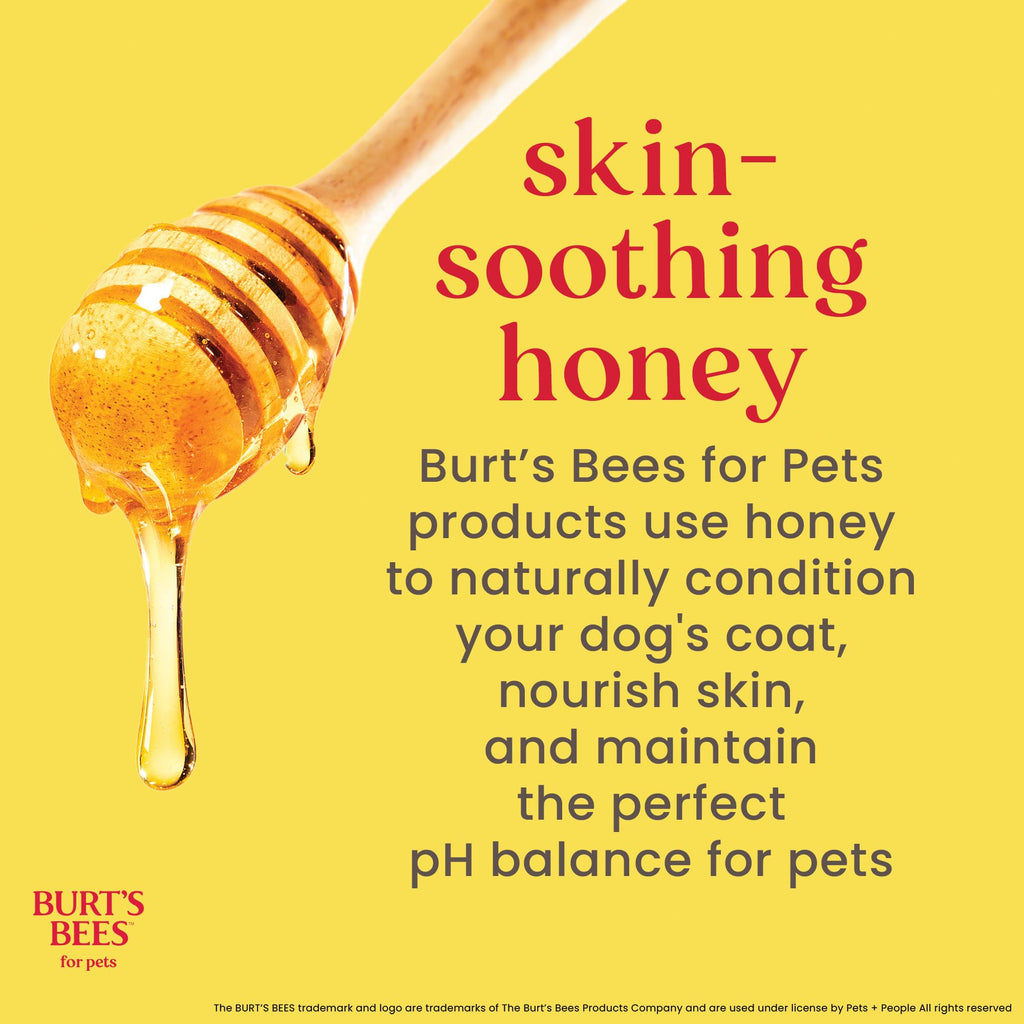 Oatmeal Dog Shampoo with Honey, Unscented, 16 Fl Oz Q219