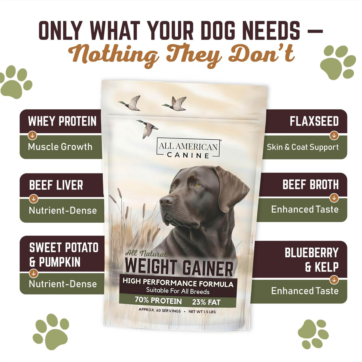High Calorie Dog Weight Gainer Powder 60 Servings A9502
