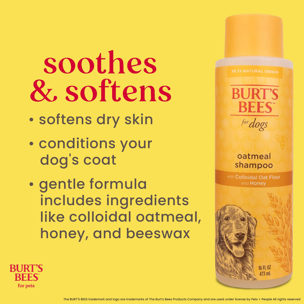 Oatmeal Dog Shampoo with Honey, Unscented, 16 Fl Oz Q219