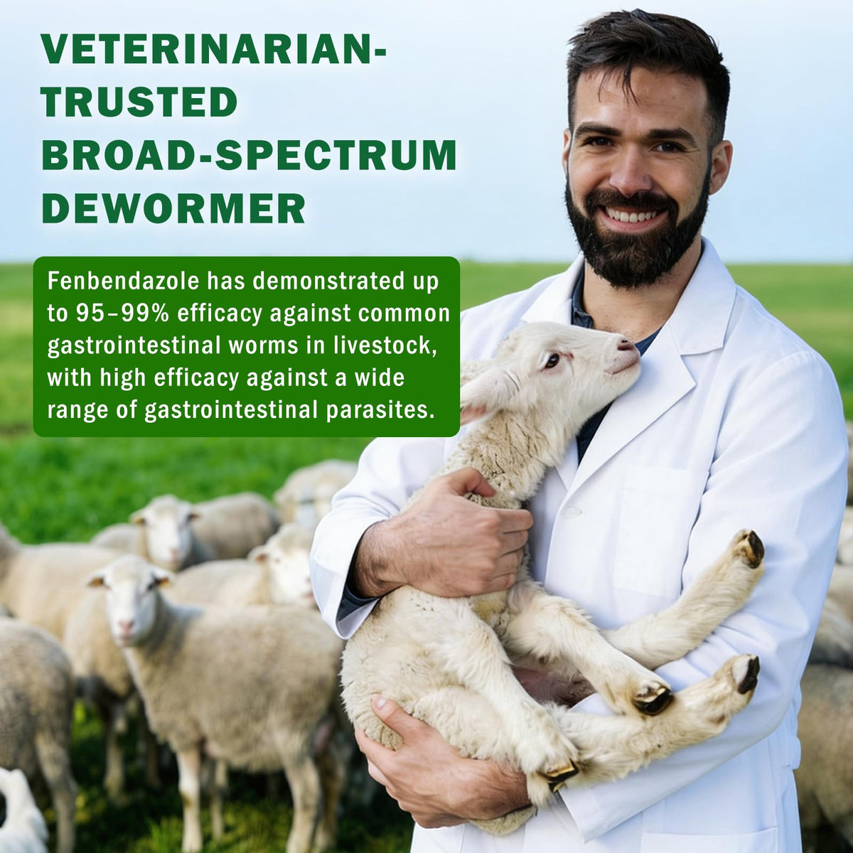 Fenbendazole Dewormer Liquid for Goat & Sheep U6976