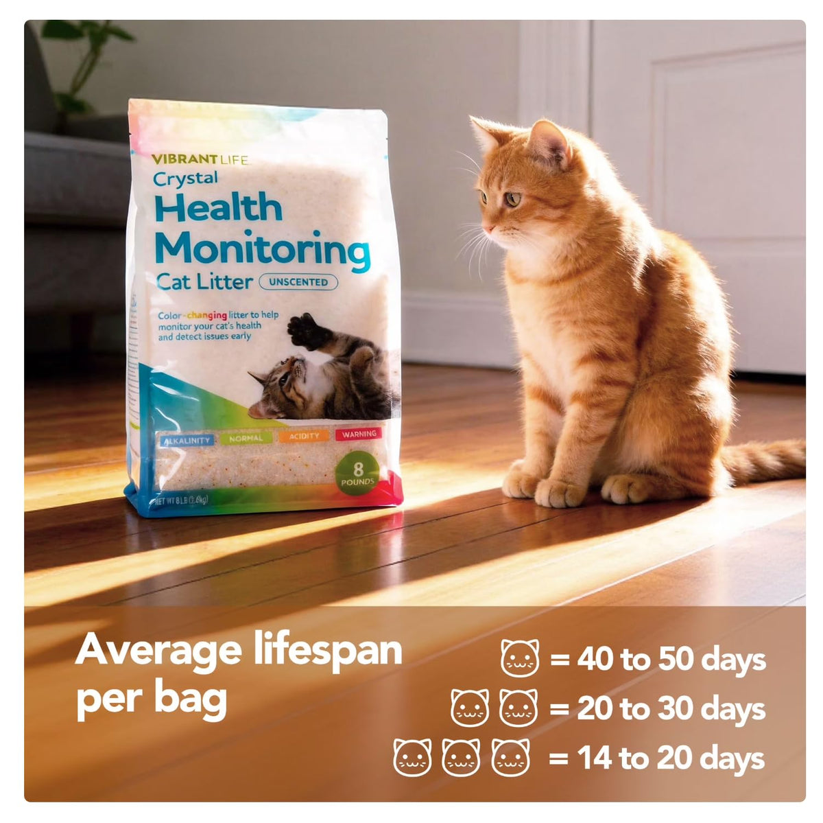 Unscented 8 Lb Cat Litter N917357