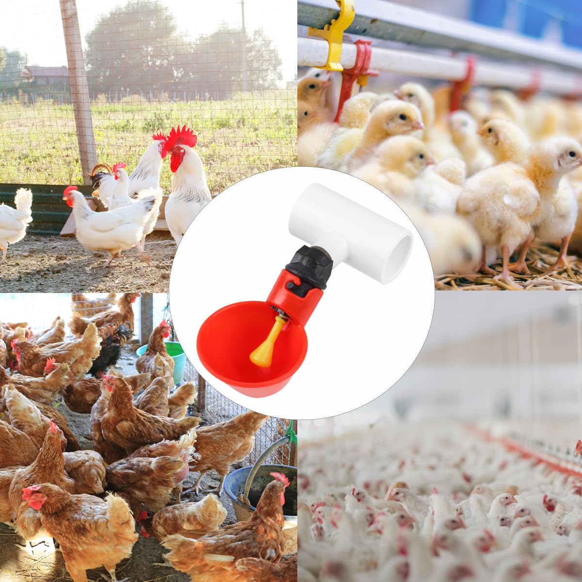 12 Pack Automatic Plastic Chicken Waterer Cups M2226
