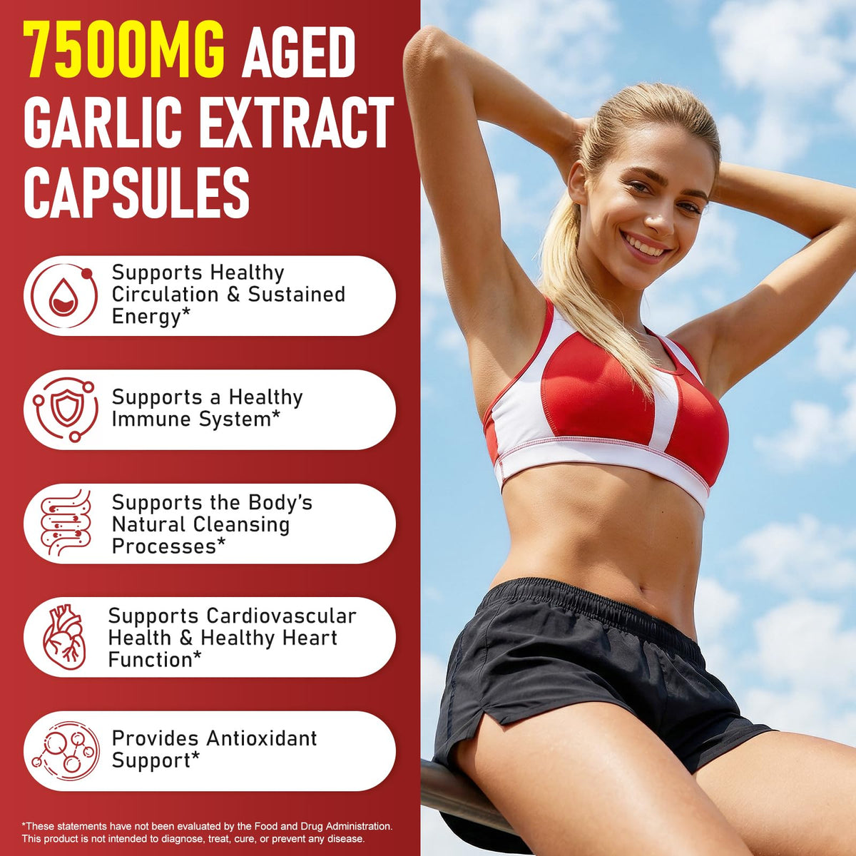 Aged Garlic Extract Capsules with Magnesium, Vitamin B1 & B9, 120 Count L4184