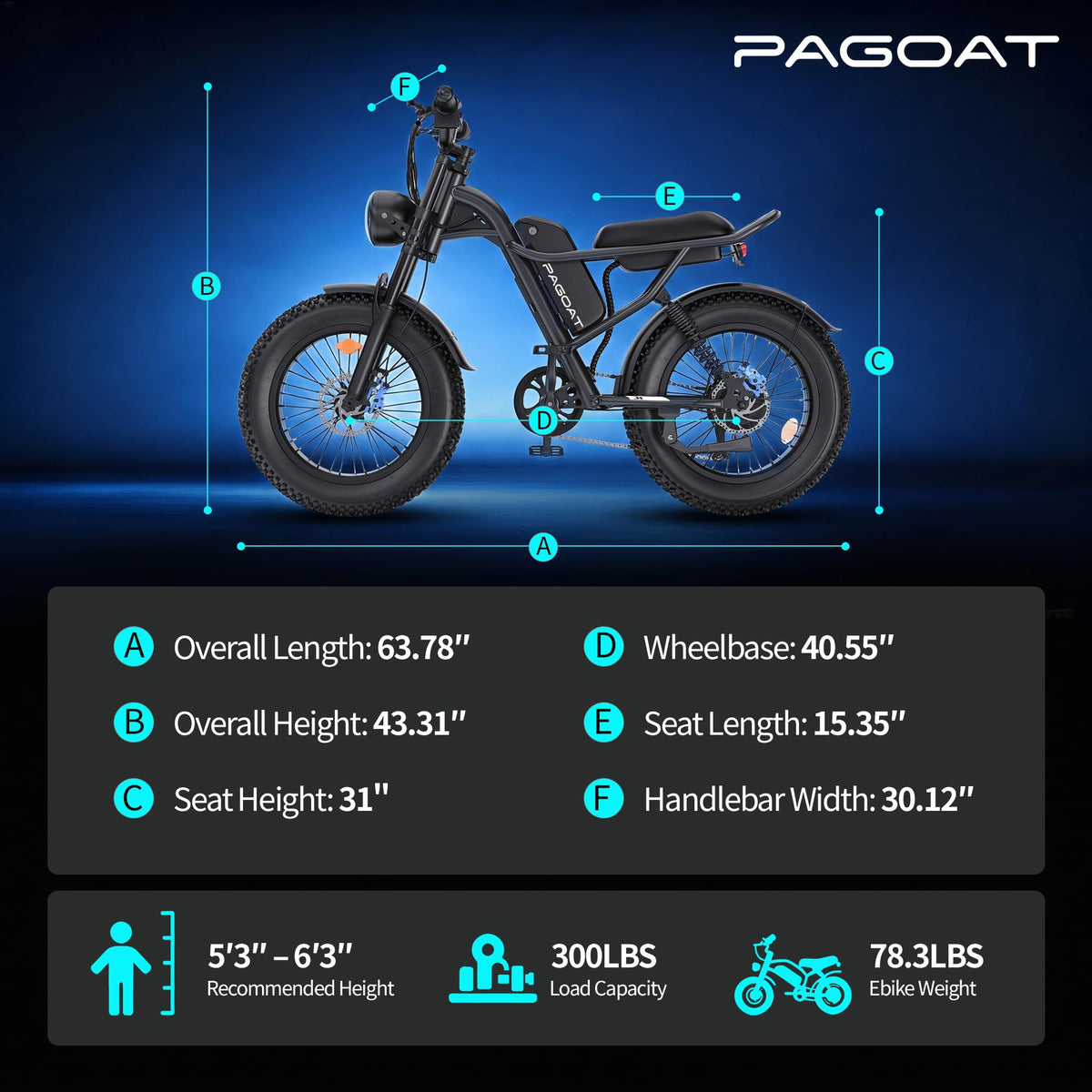 1500W Peak 20" x 4.0" Fat Tire Electric Bike Z183