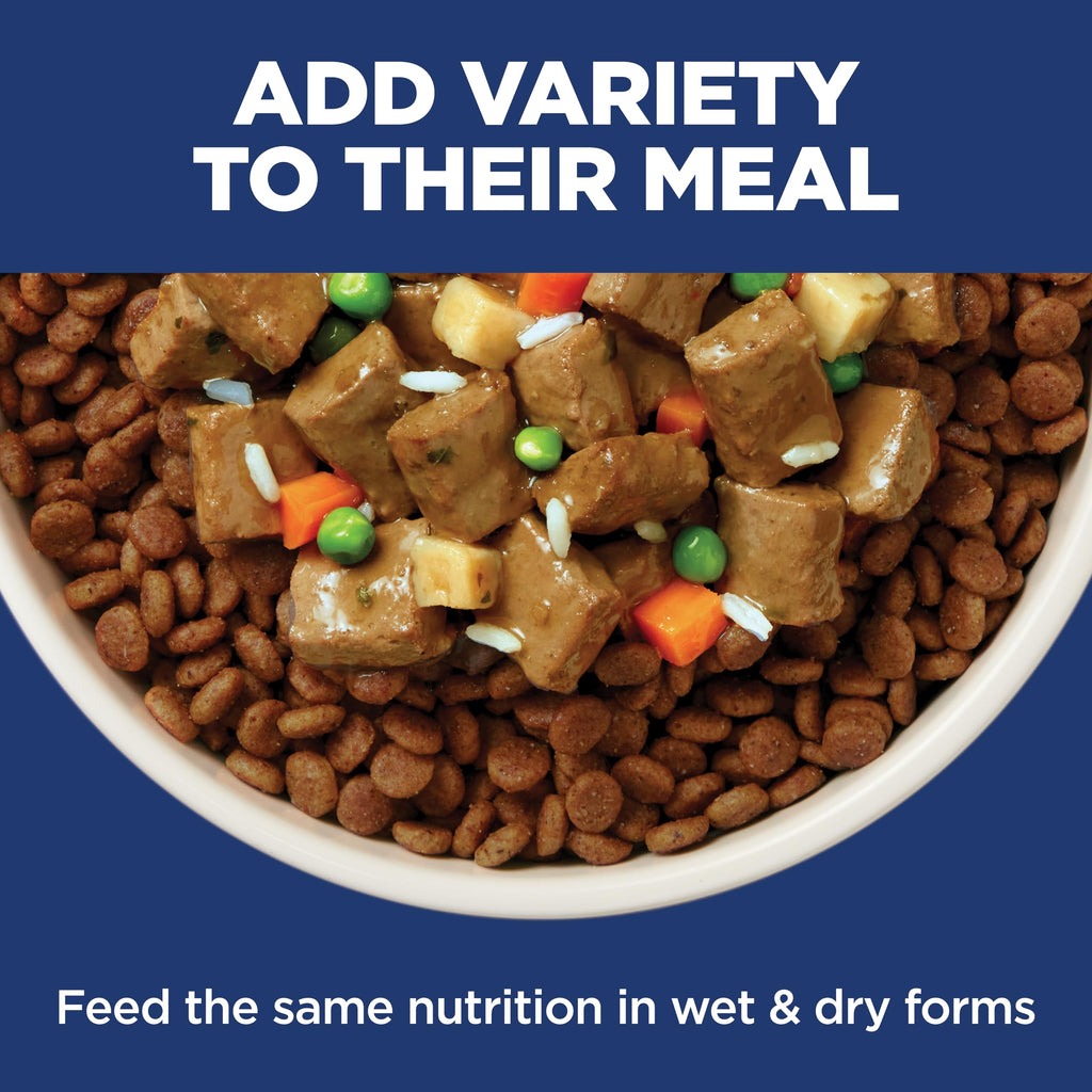 Sensitive Stomach & Skin Small Bites Dry Dog Food L481