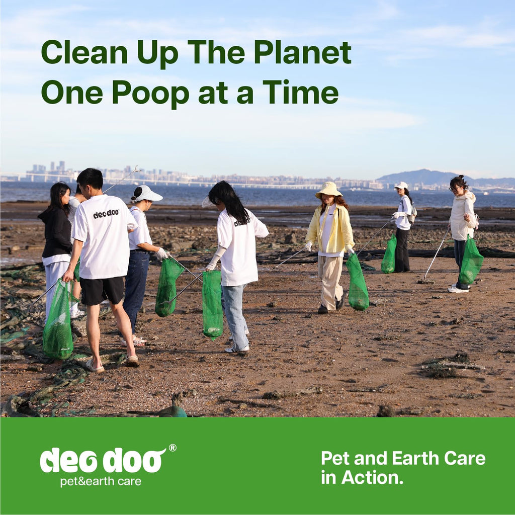 Dog Poop Bags with Handles, Large Size, 240 Bags, Unscented F99267