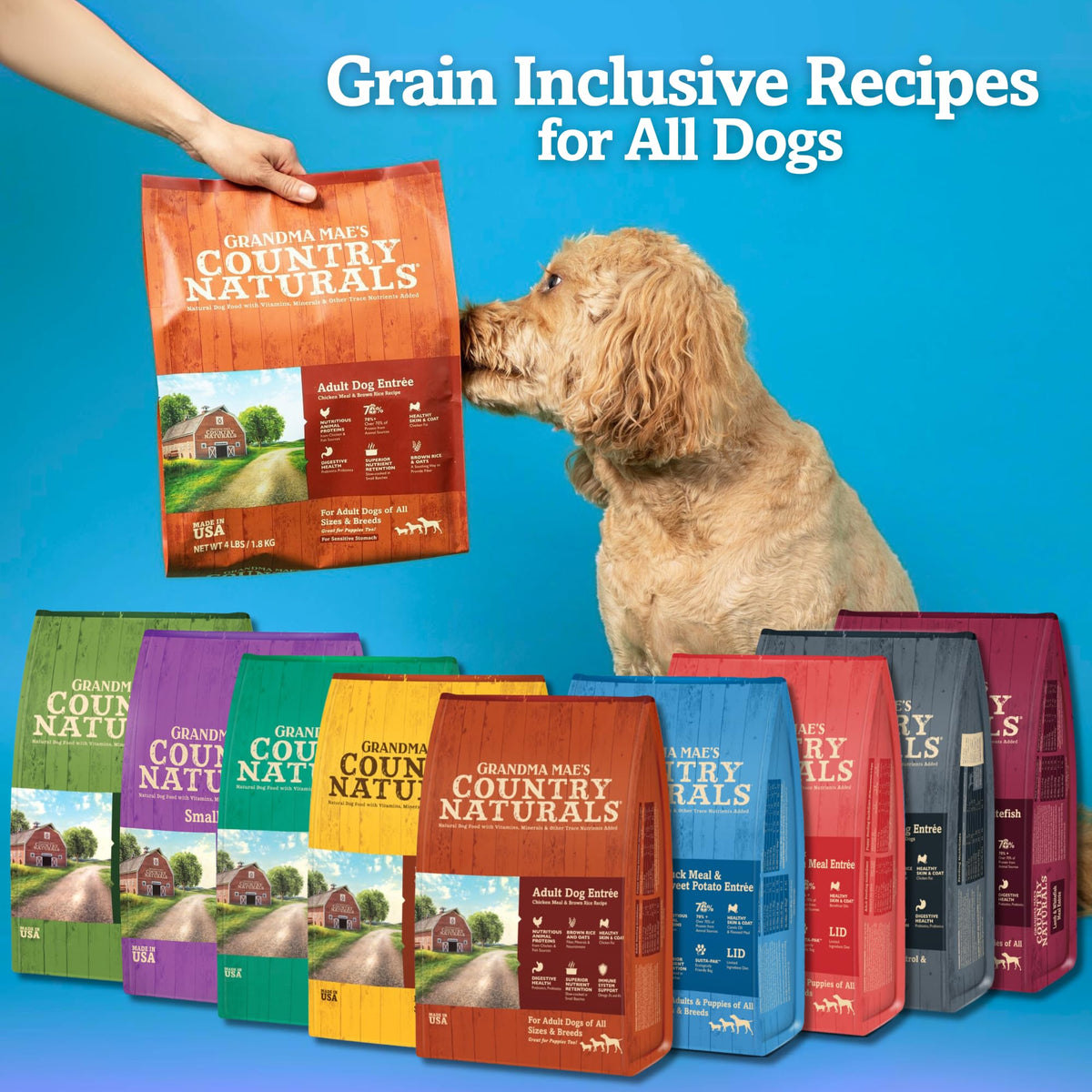 Chicken & Brown Rice Dry Dog Food 24 LB Bag D2336