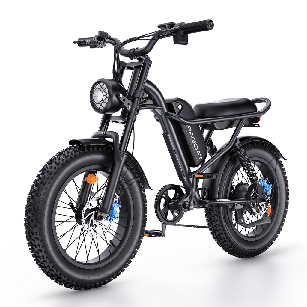 1500W Peak 20" x 4.0" Fat Tire Electric Bike Z183
