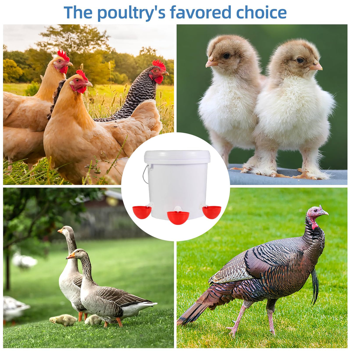 Chicken Waterer Cups K366