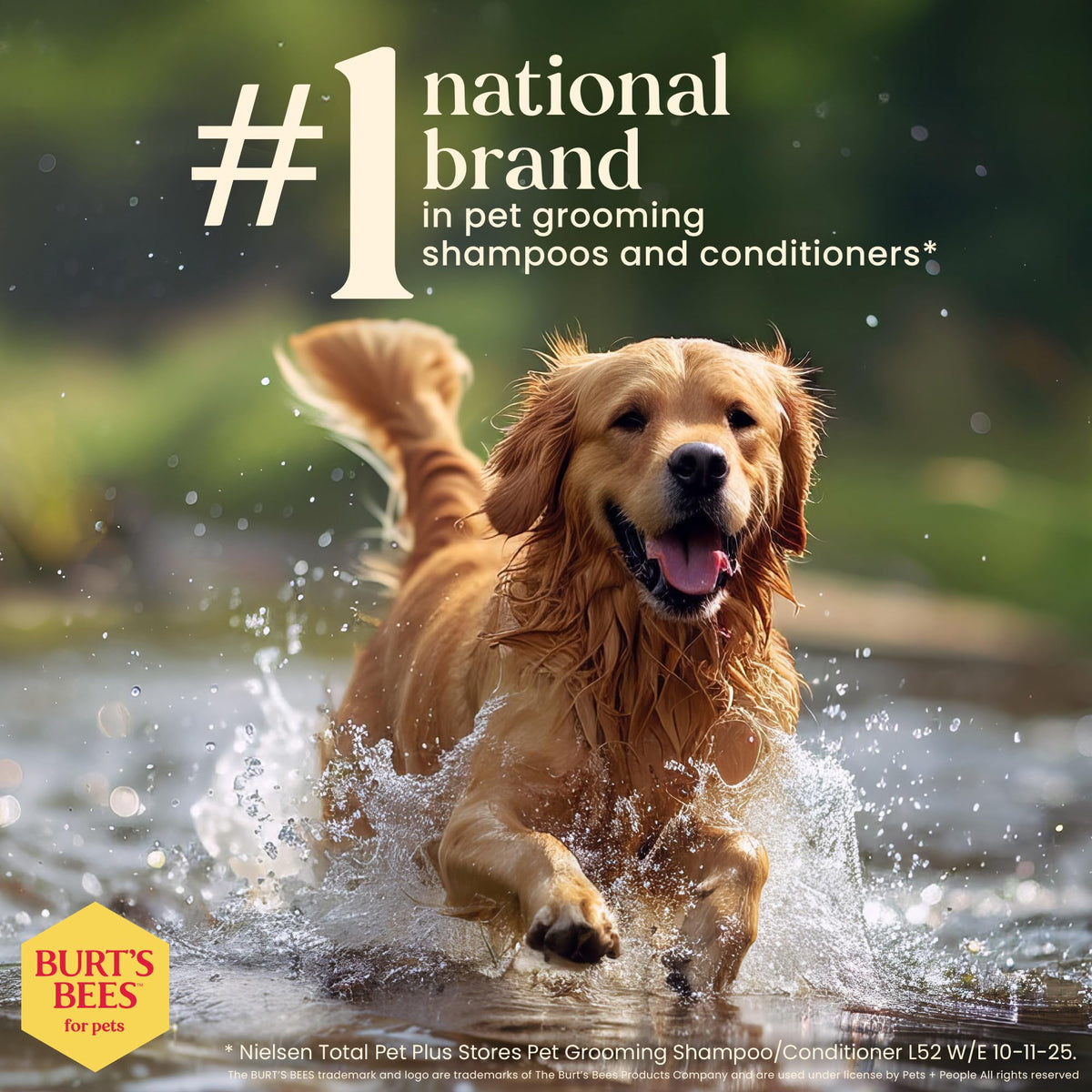 Oatmeal Dog Shampoo with Honey, Unscented, 16 Fl Oz Q219