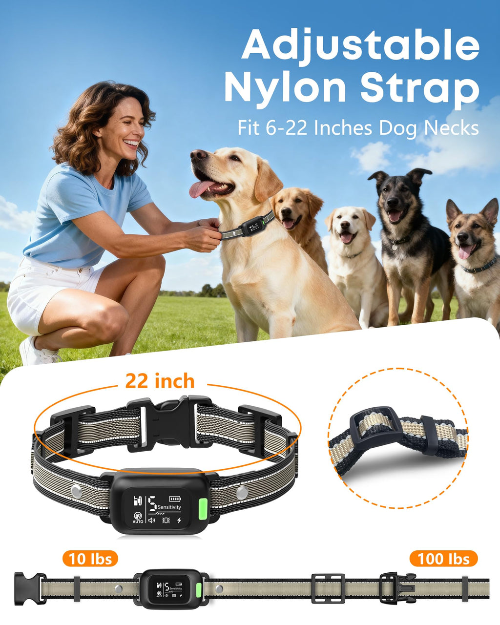 2-in-1 Dog Bark & Shock Collar with Remote T480
