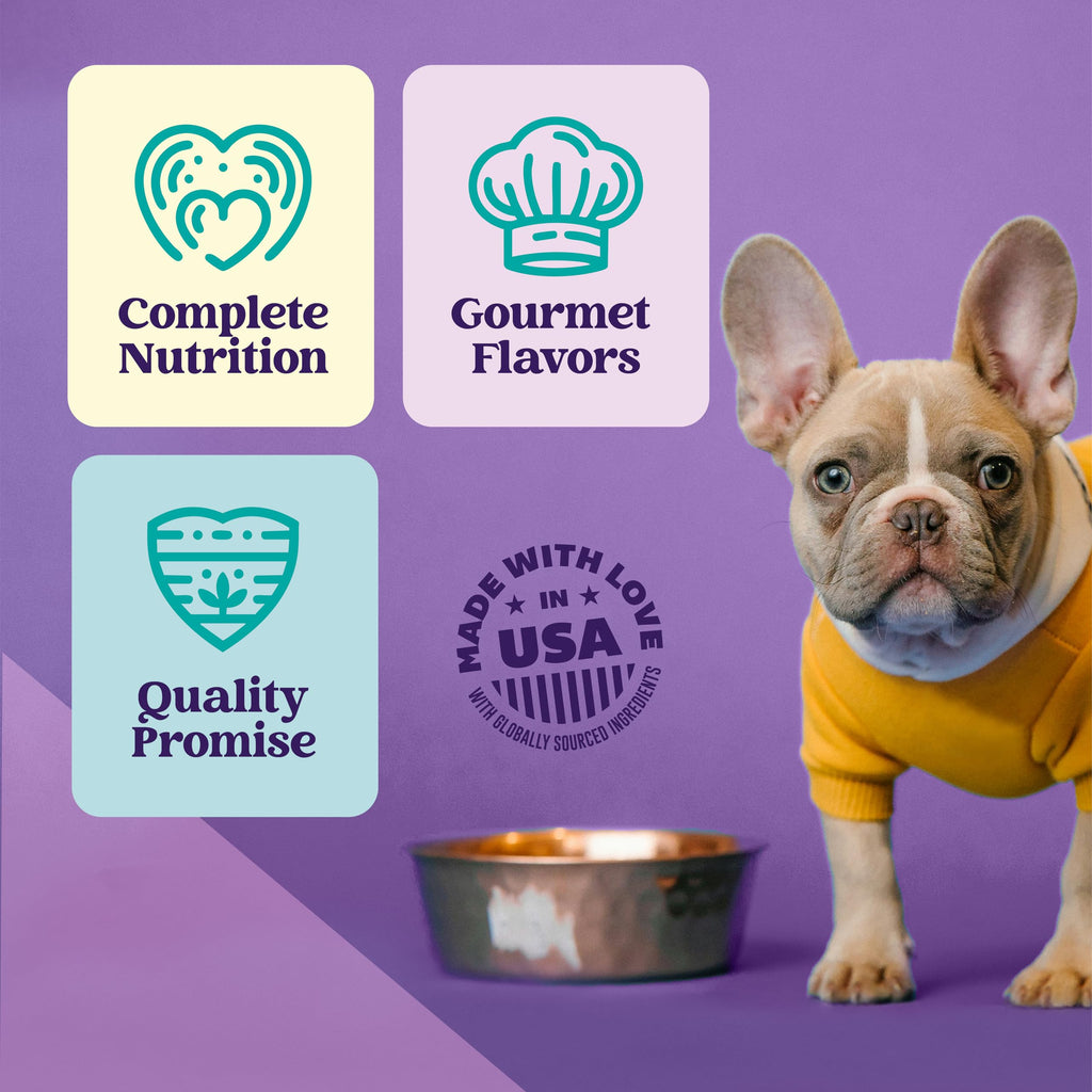 Turkey Stew Wet Dog Food 13.2 oz Can Pack of 12 Q206