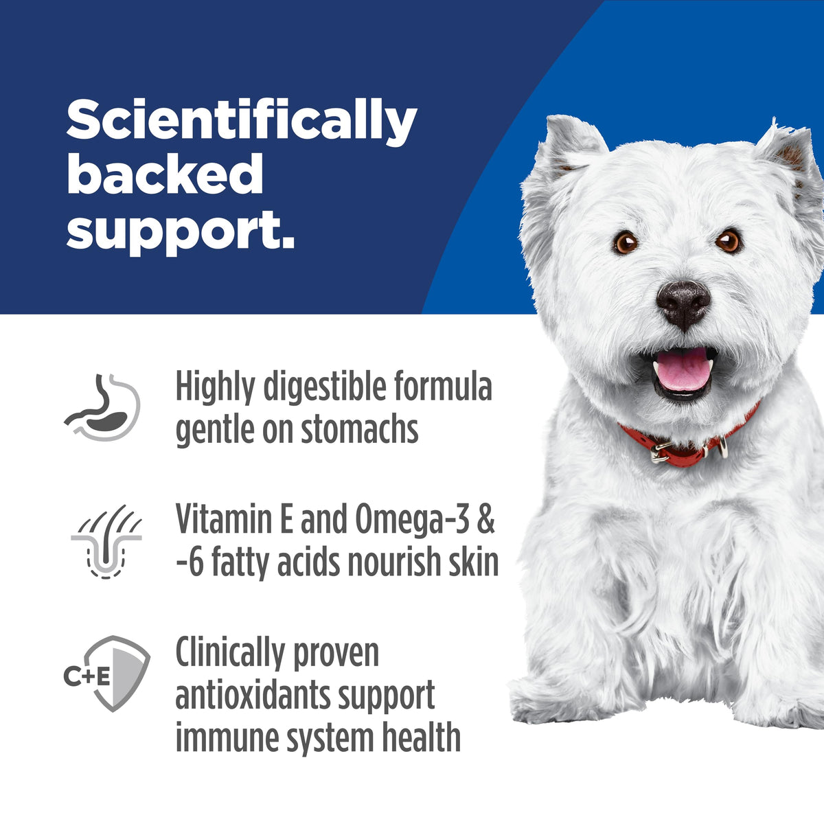 Sensitive Stomach & Skin Small Bites Dry Dog Food L481