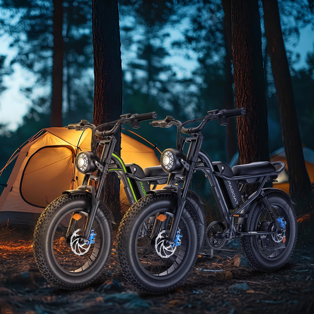 1500W Peak 20" x 4.0" Fat Tire Electric Bike Z183