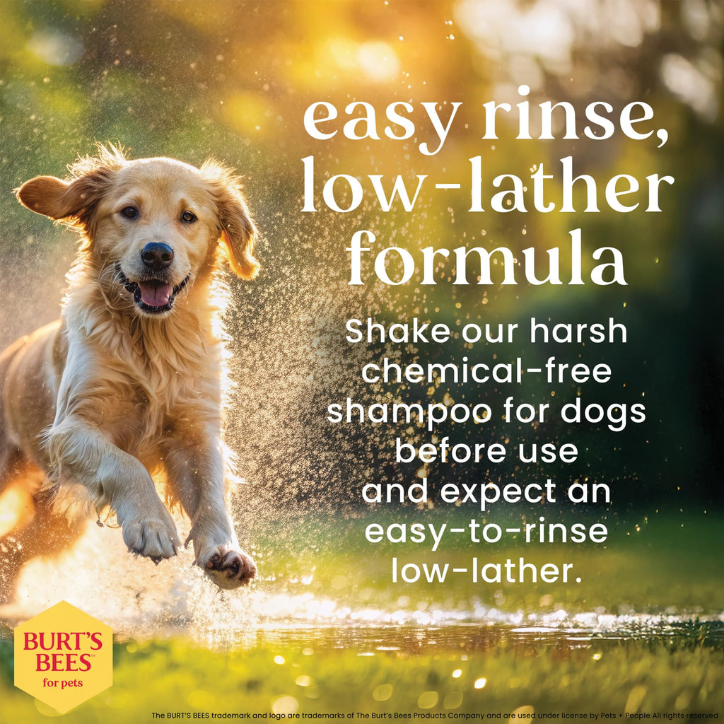 Oatmeal Dog Shampoo with Honey, Unscented, 16 Fl Oz Q219