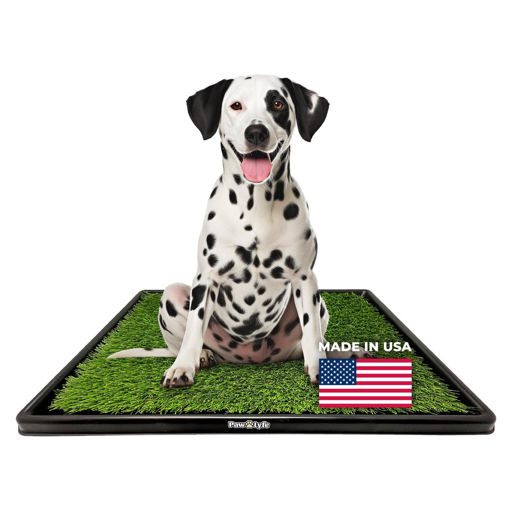 Artificial Grass Dog Potty with Tray F343992