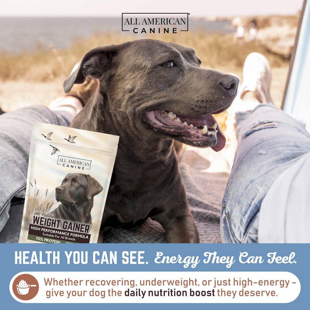 High Calorie Dog Weight Gainer Powder 60 Servings A9502