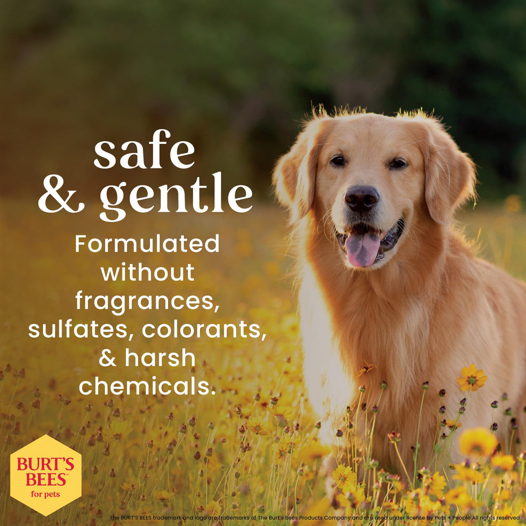 Oatmeal Dog Shampoo with Honey, Unscented, 16 Fl Oz Q219