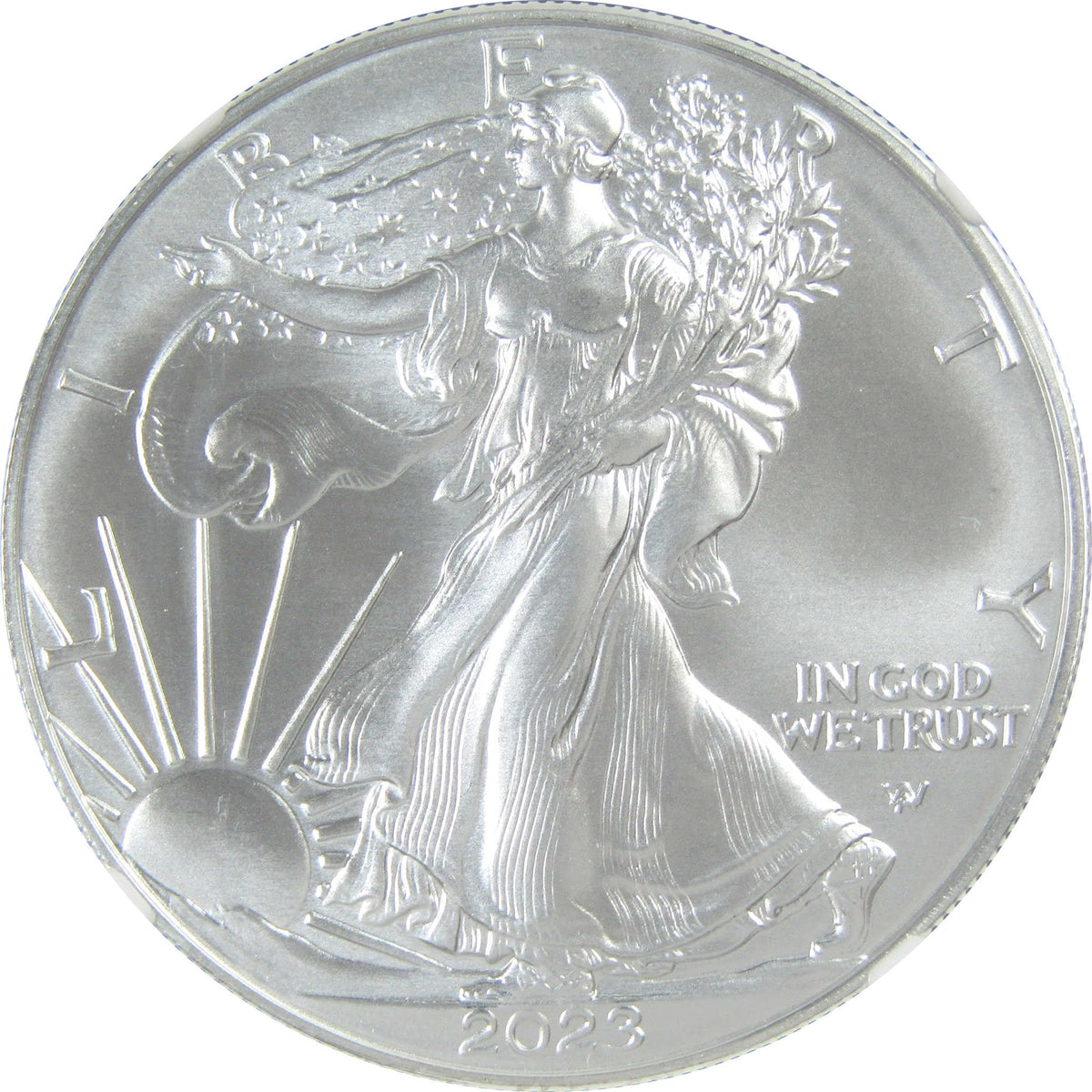 2023 American Silver Eagle Uncirculated $1 Coin M9722
