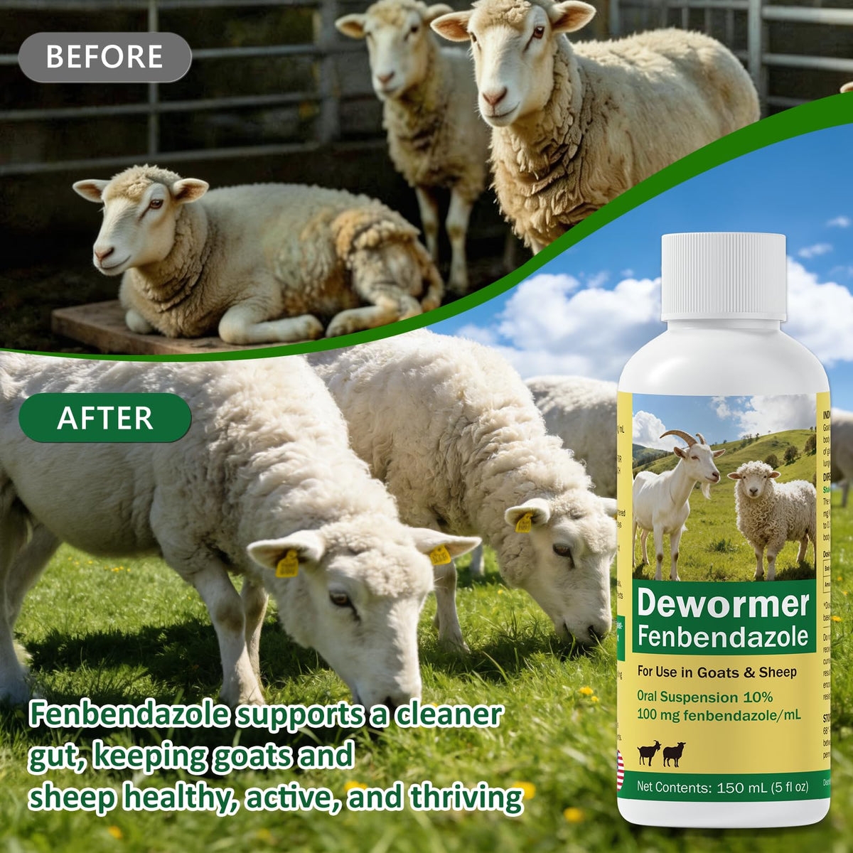 Fenbendazole Dewormer Liquid for Goat & Sheep U6976