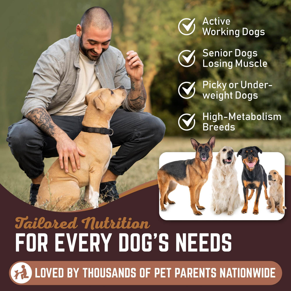 High Calorie Dog Weight Gainer Powder 60 Servings A9502