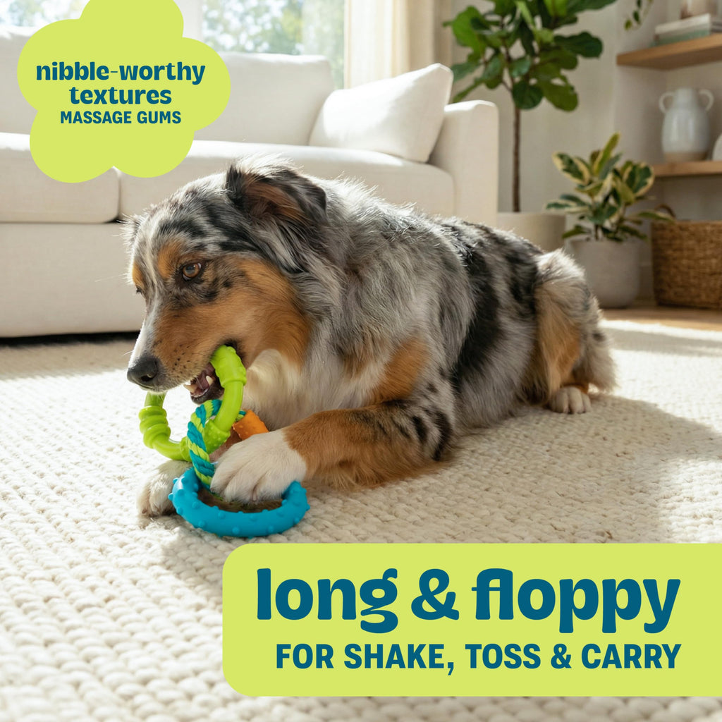 Dog Chew Toy Textured Rings & Woven Rope 8.5" R79249