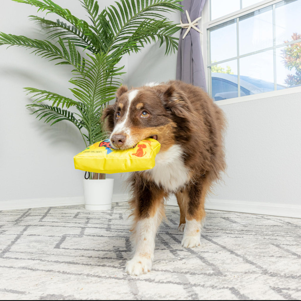 Dog Squeak Toy W479