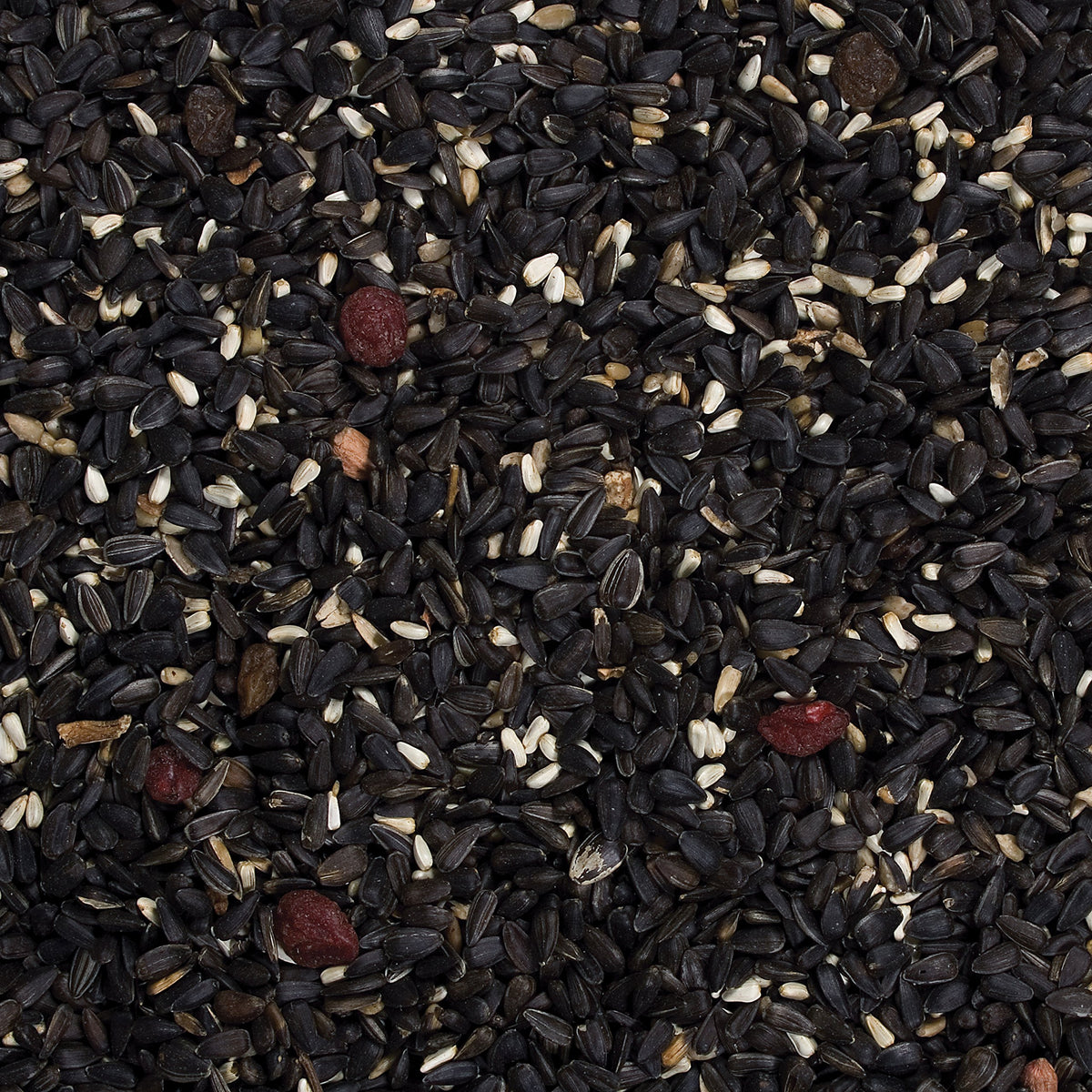 Songbird Food, 20 lb E964